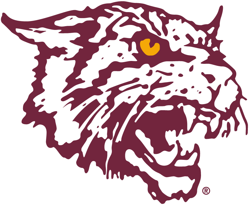 Bethune-Cookman Wildcats 2000-2015 Alternate Logo v2 iron on transfers for clothing